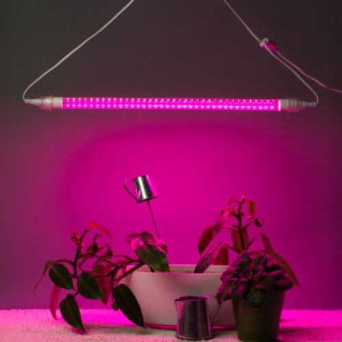 Светильник ФИТО 9W IP65