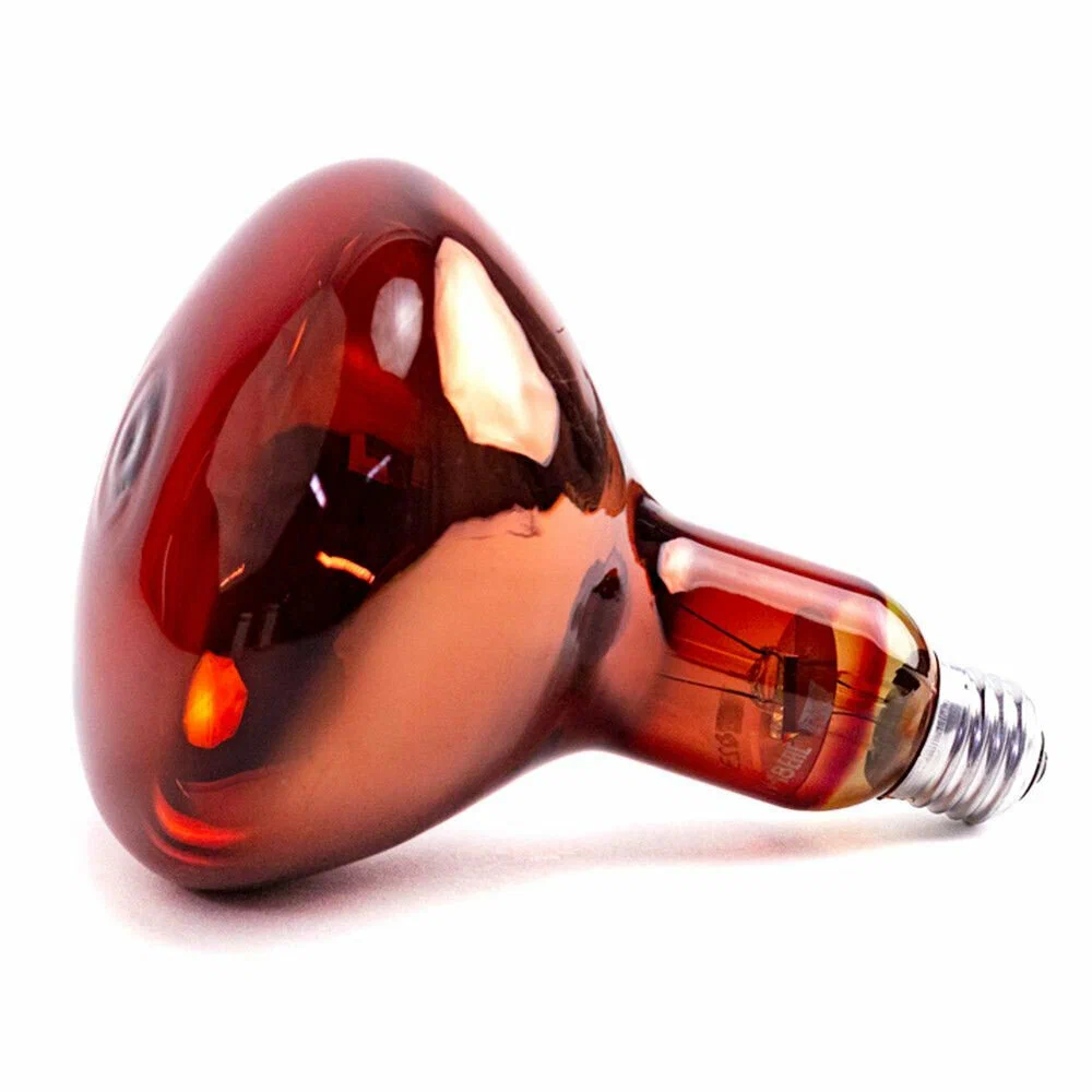 Лампа термоизлучатель ИКЗК 220-250 R127 красная